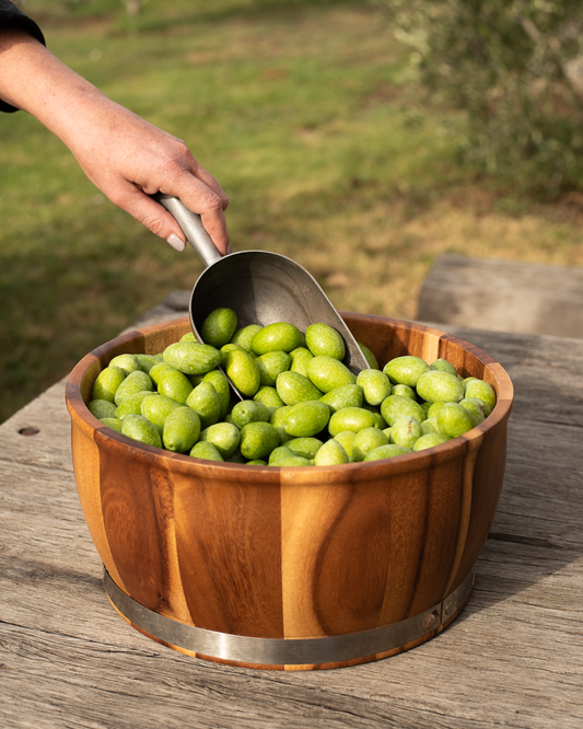 fresh olives are now available at the mount zero warehouse!