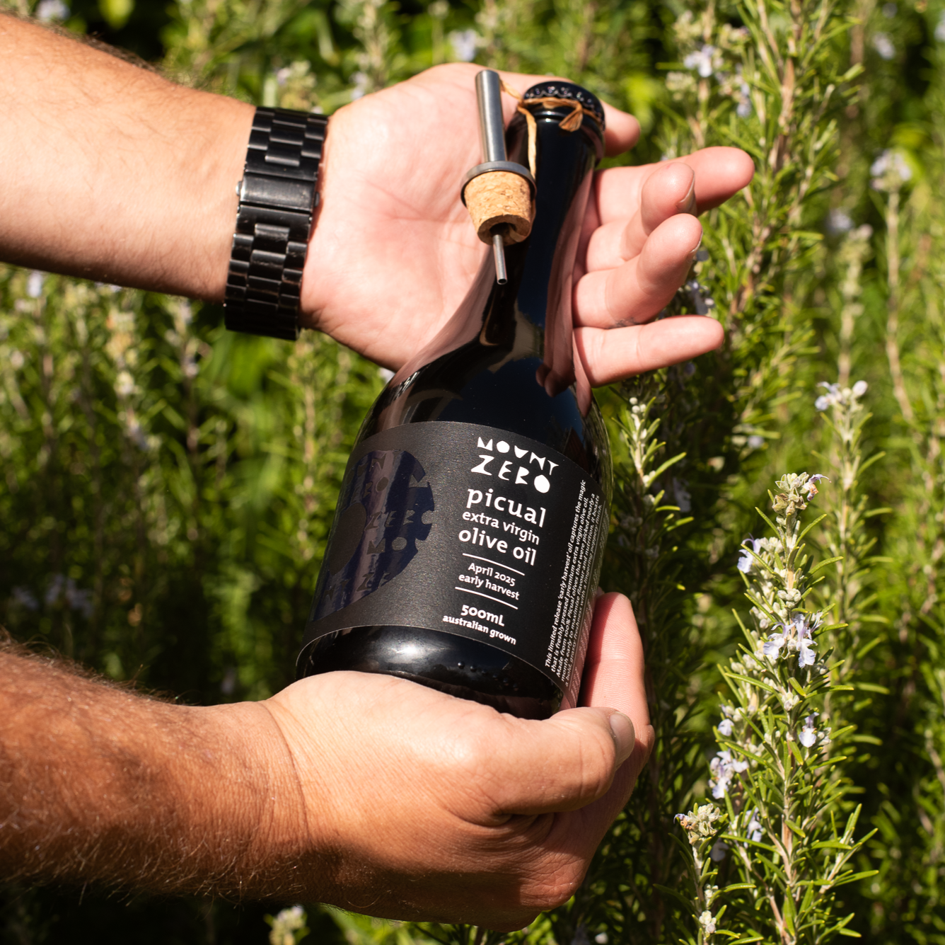 2025 early harvest picual extra virgin olive oil