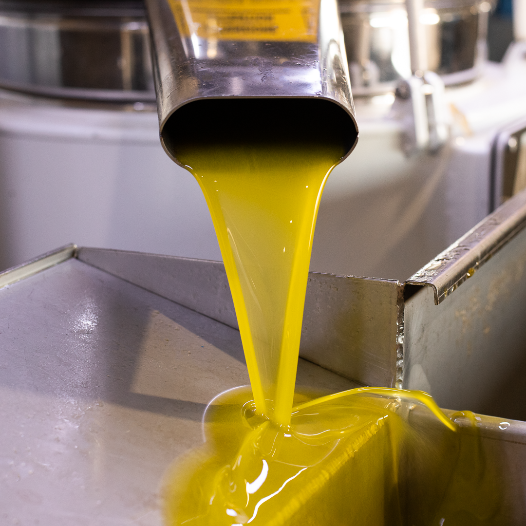 2025 early harvest picual extra virgin olive oil
