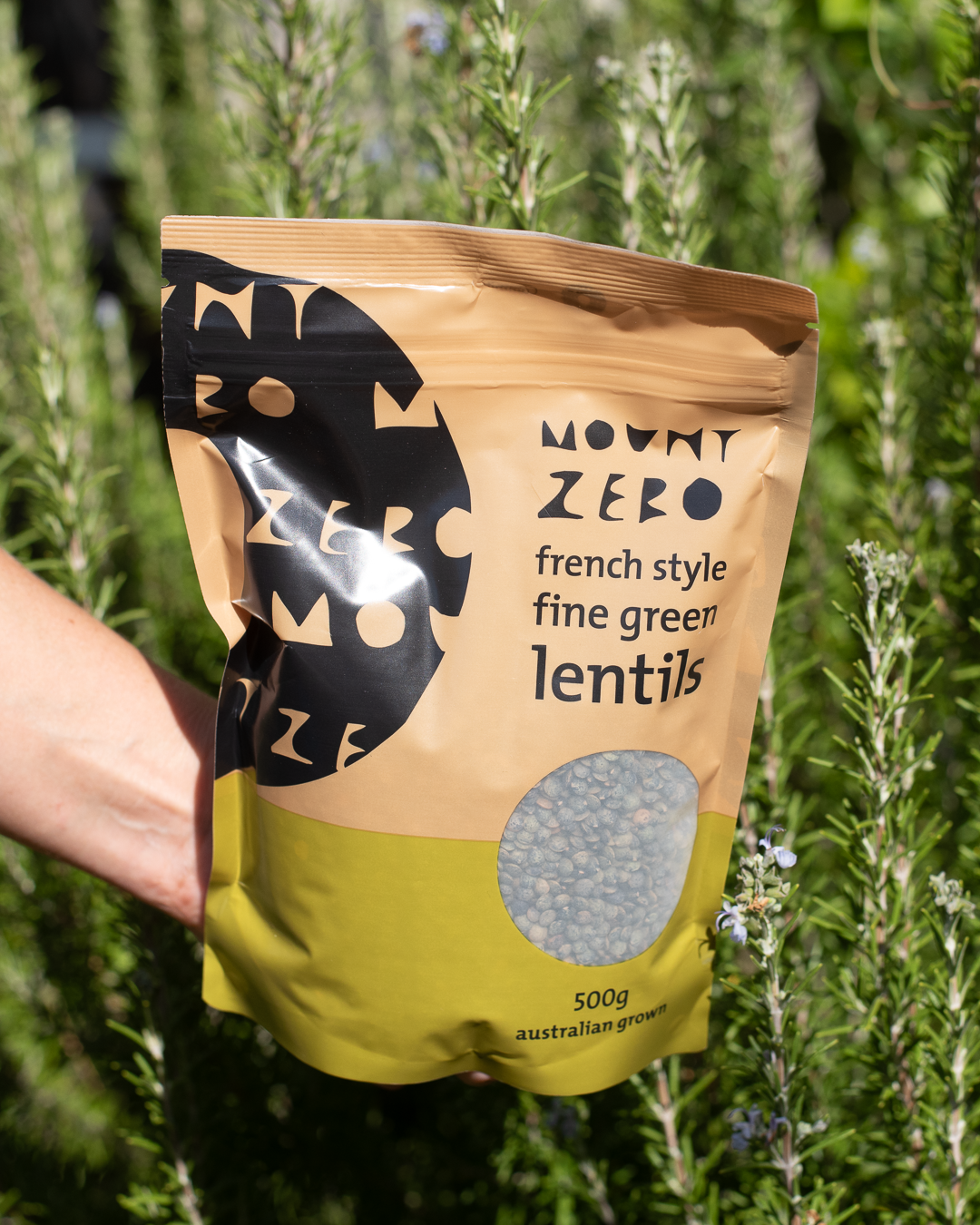 french style green lentils