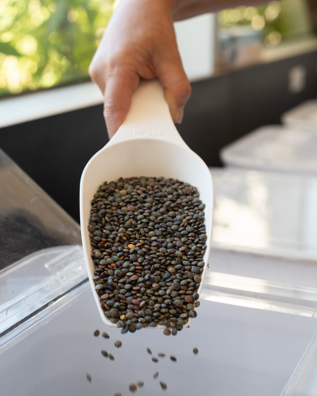 french style green lentils