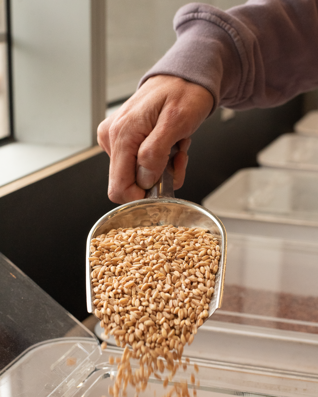 biodynamic pearled farro