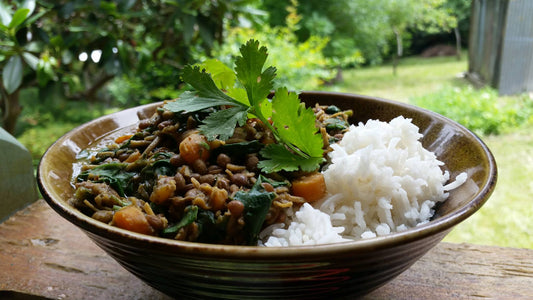 persian lentil stew