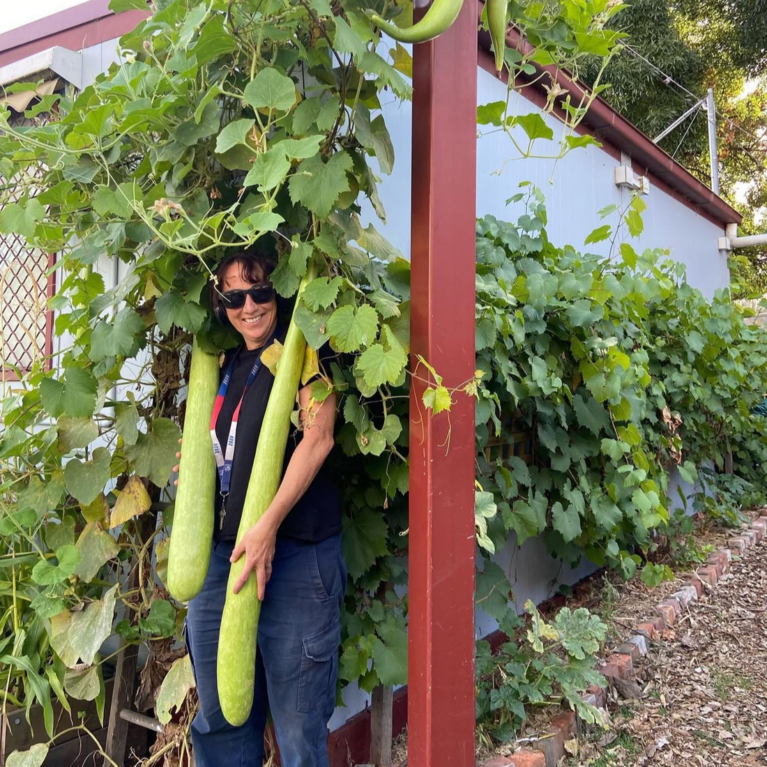 Mount Zero Hero | Michelle Twyford, Carlton Neighbourhood Learning Centre