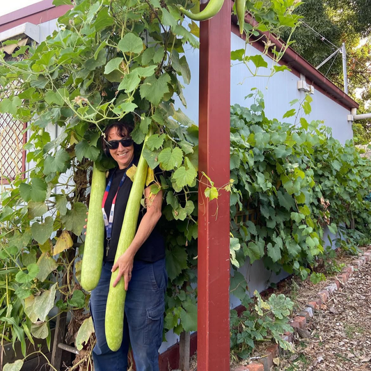 Mount Zero Hero | Michelle Twyford, Carlton Neighbourhood Learning Centre