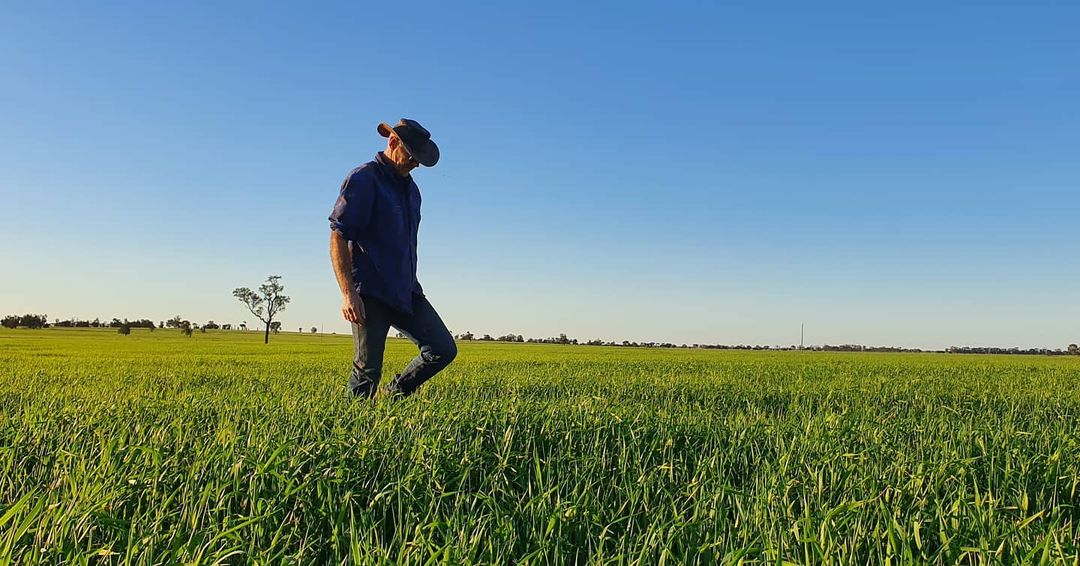 from the source | biodynamic grains & pulses from burrum