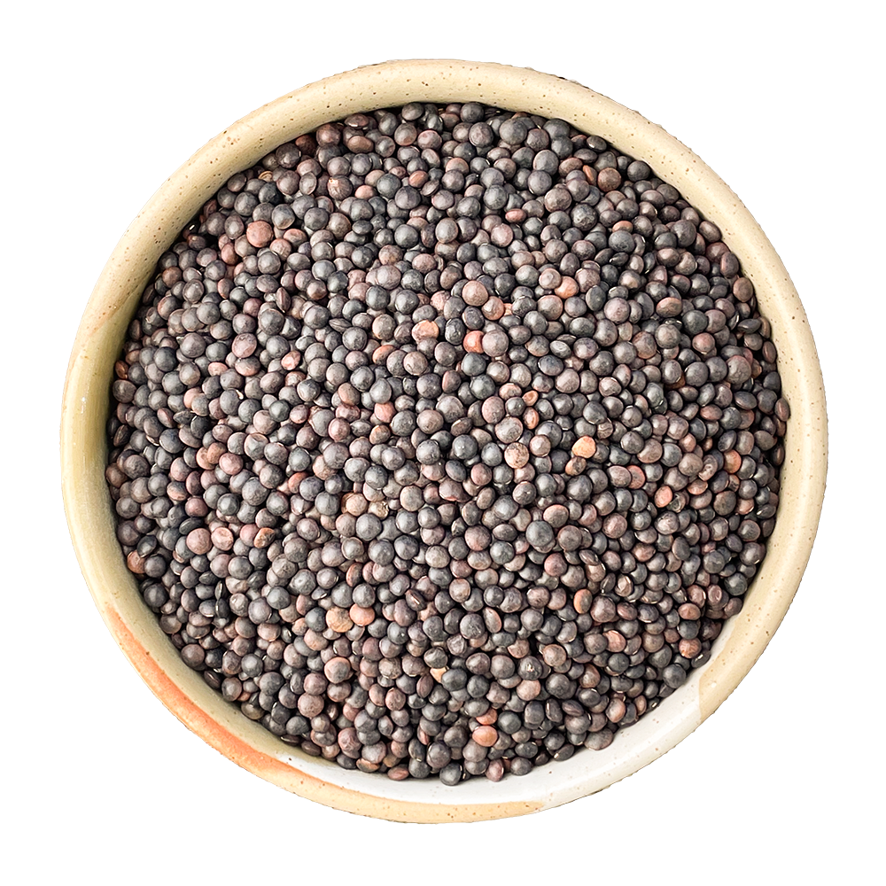 beluga black lentils