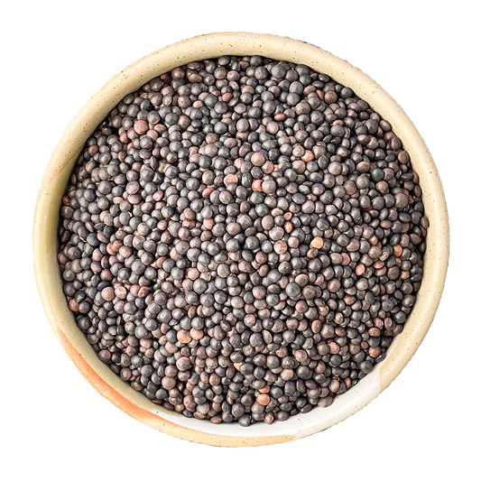 beluga black lentils