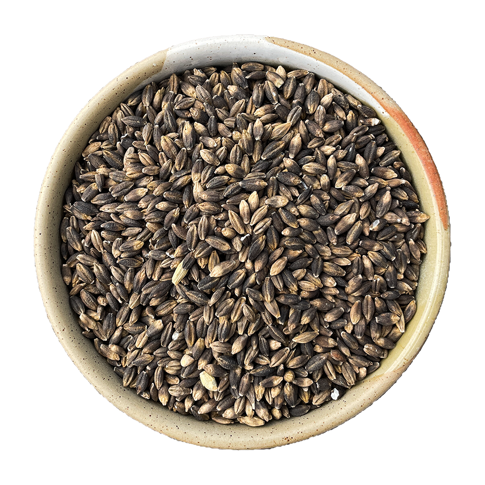 black barley