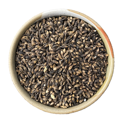 black barley