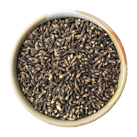 black barley