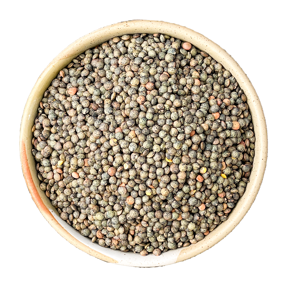 french style green lentils