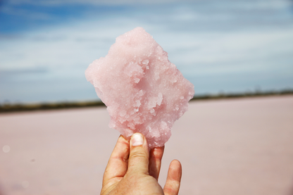 pink lake salt grinder with australian native pepper berry