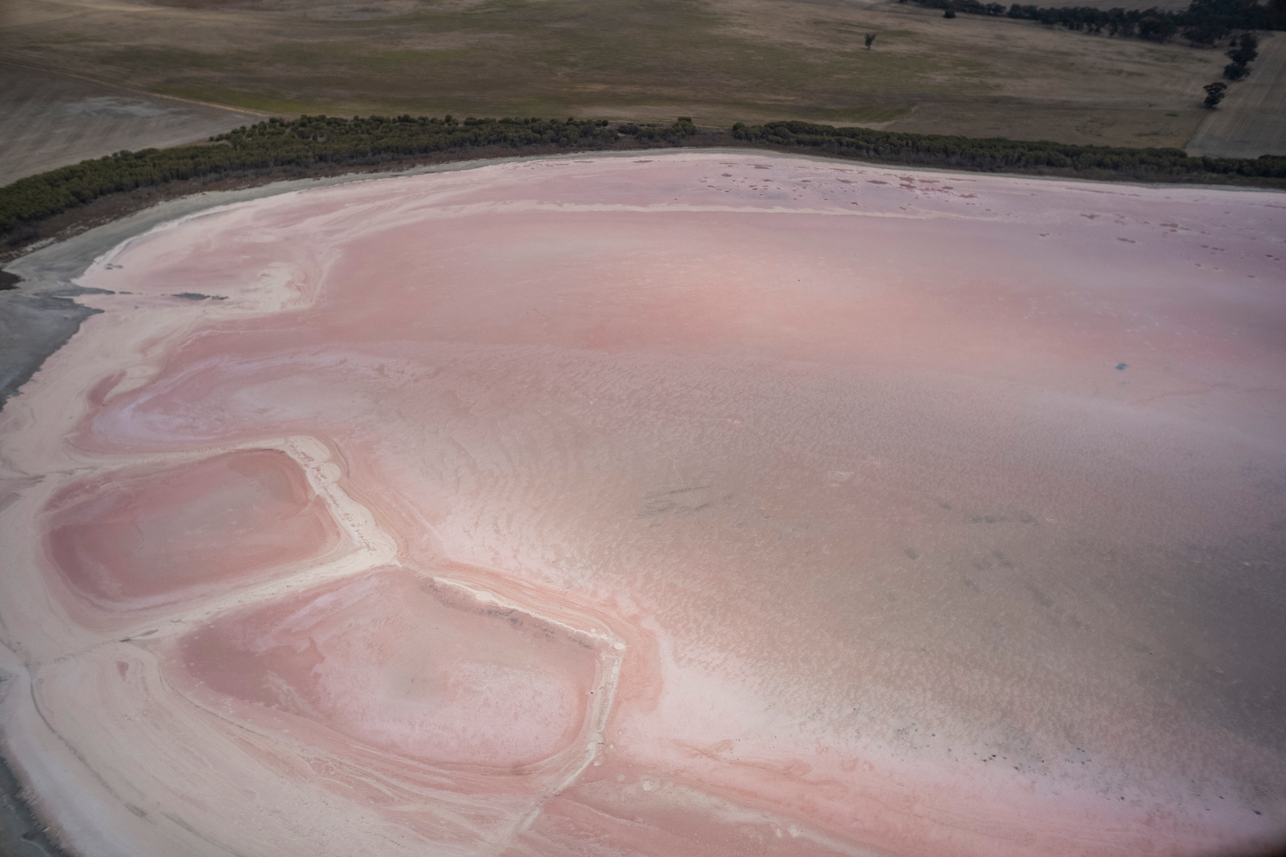 pink lake salt shaker