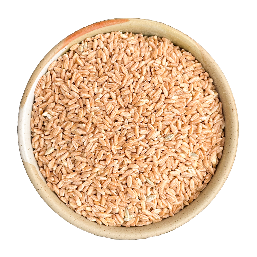 biodynamic pearled farro