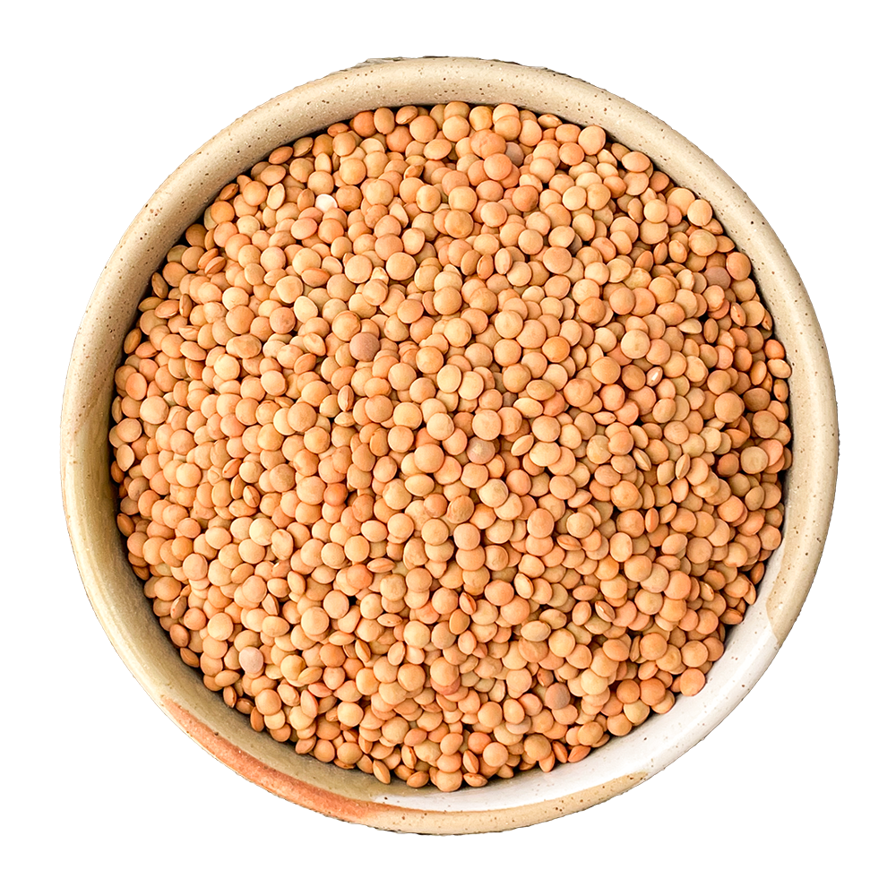 persian red lentils