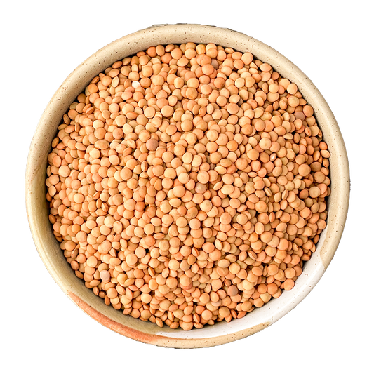 persian red lentils