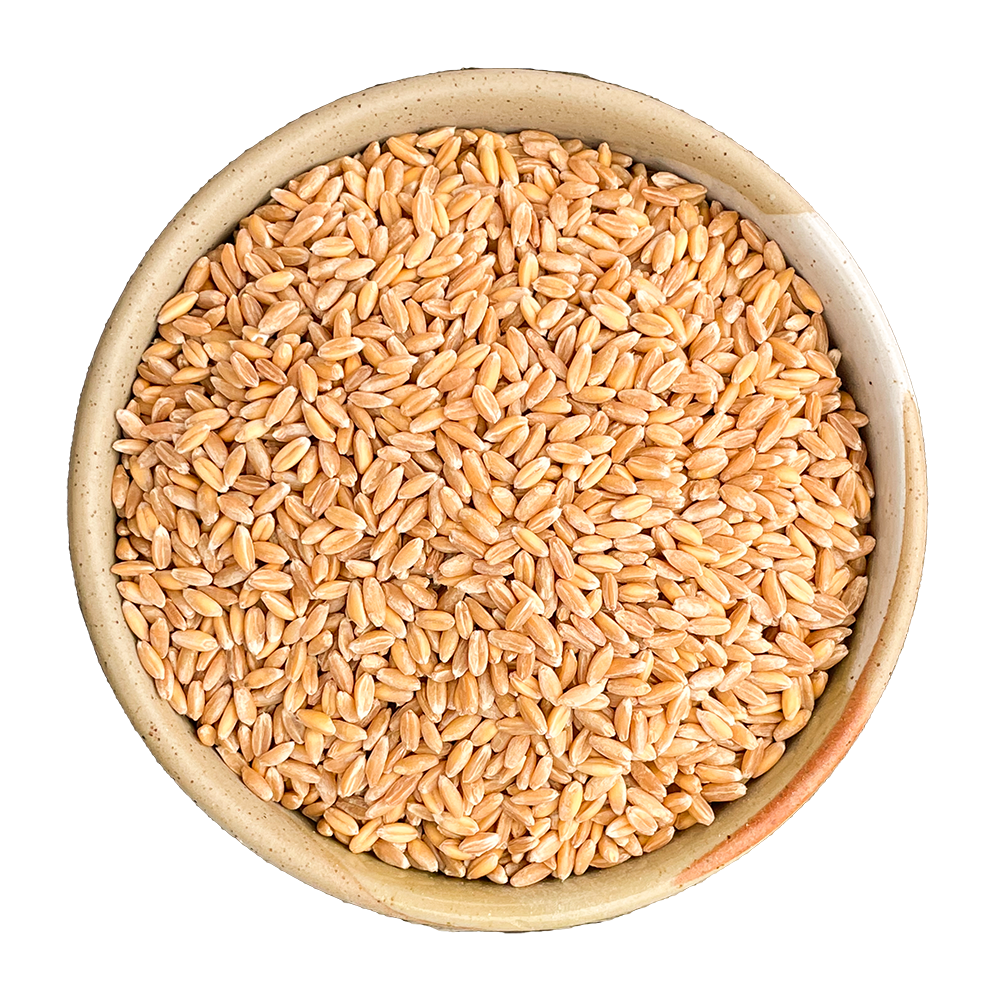 wholegrain farro