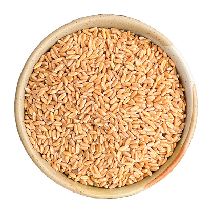 wholegrain farro