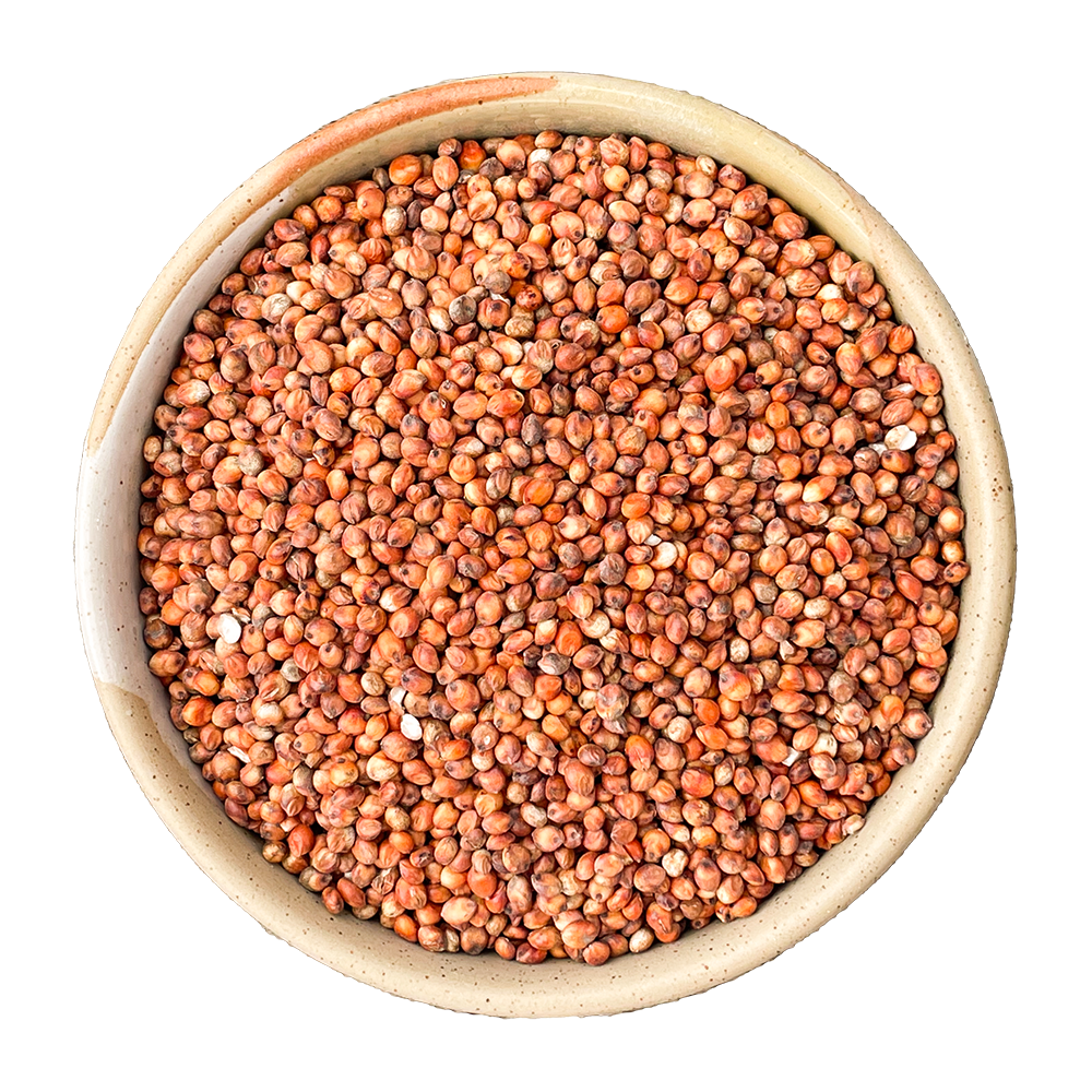Red Milo Red Sorghum – Mount Zero Olives