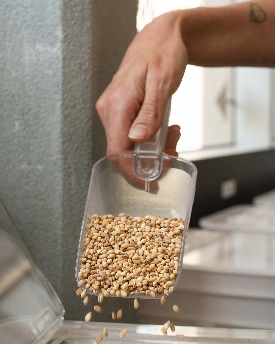 biodynamic pearl barley