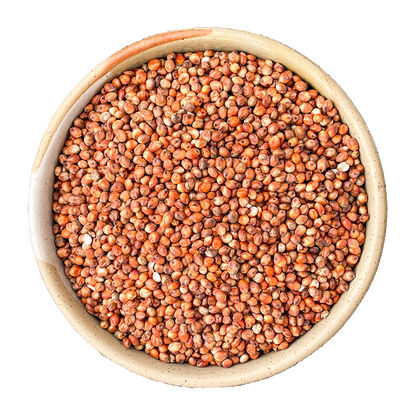 red sorghum