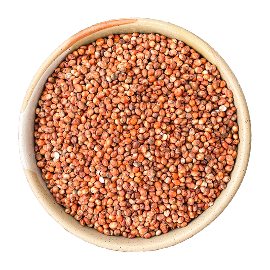 red sorghum