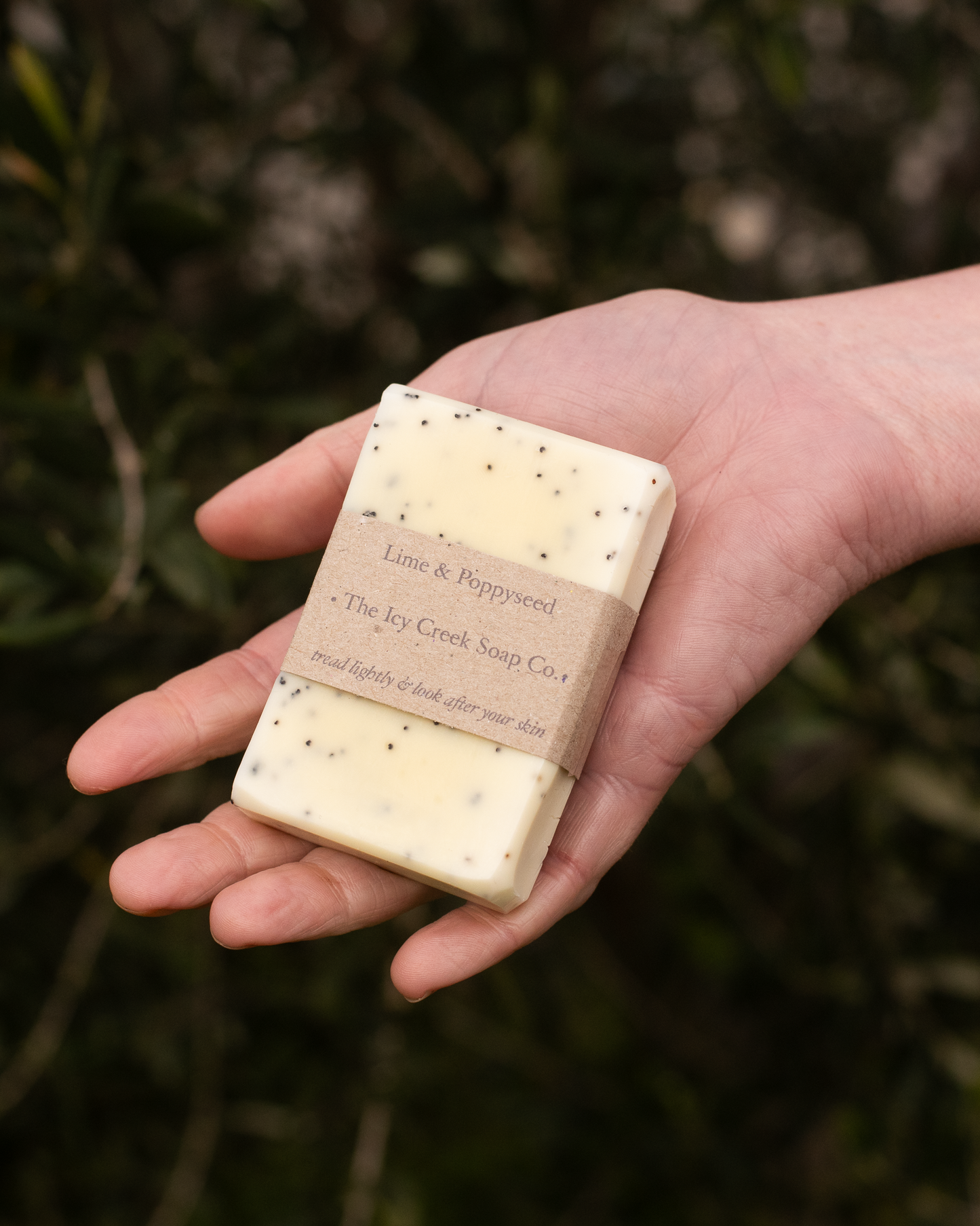 icy creek soap co. lime & poppyseed soap bar