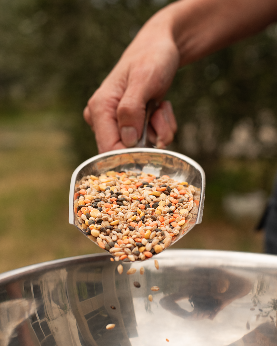 biodynamic soup mix